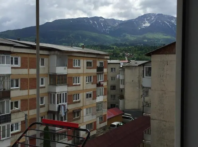 Apartamente Gildo 20